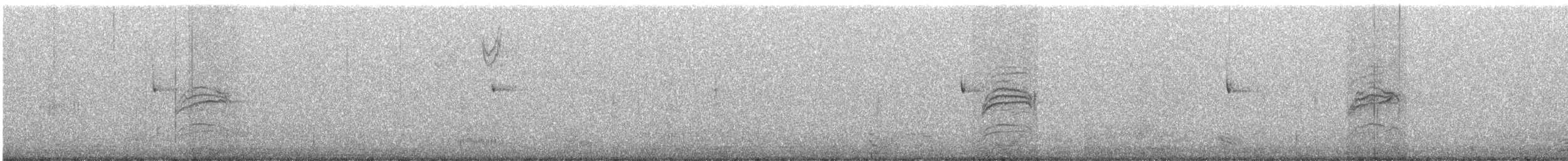 Дрізд-короткодзьоб плямистоволий - ML383494321