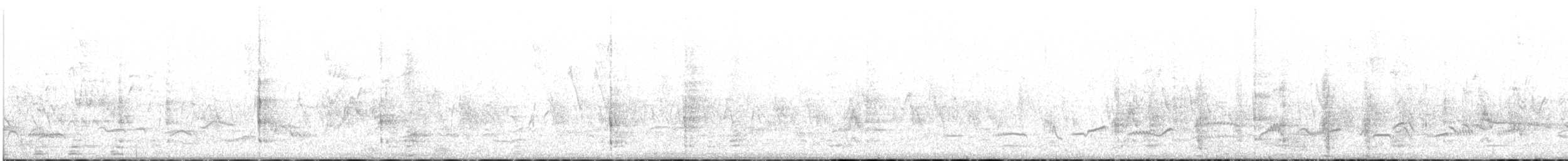perlička kropenatá (domestikovaná) - ML383496301