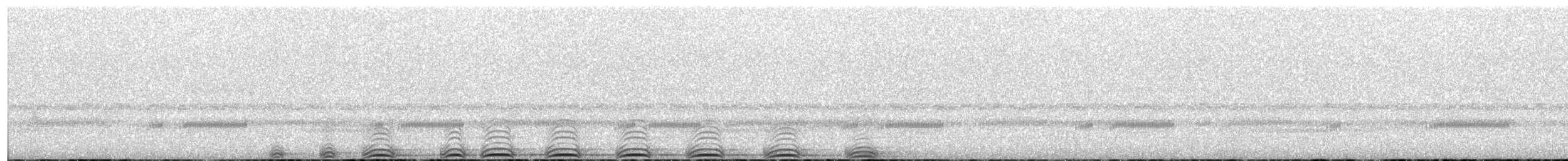 Cinereous Owl - ML383590451