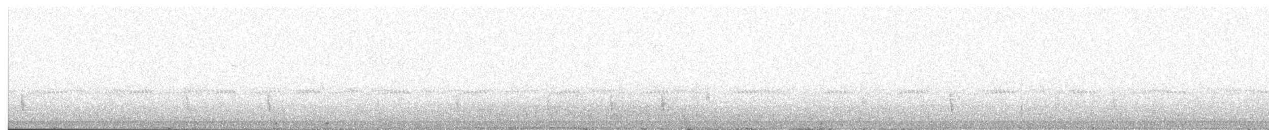 Дрізд-короткодзьоб плямистоволий - ML383620501