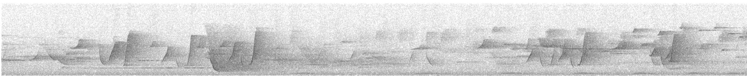 Rose-crowned Fruit-Dove - ML383654071