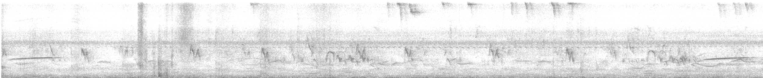 Тиранчик-тонкодзьоб південний - ML383728771
