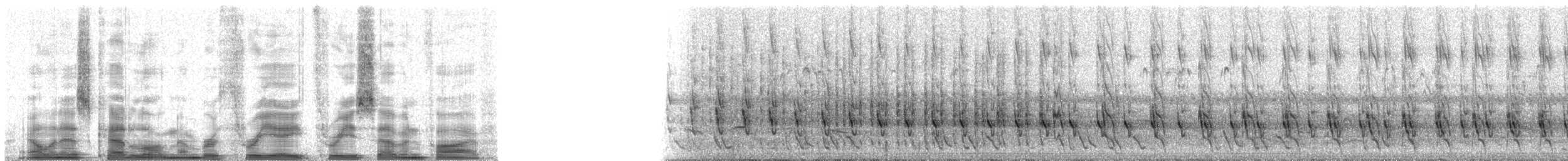 Cacholote uni - ML38375