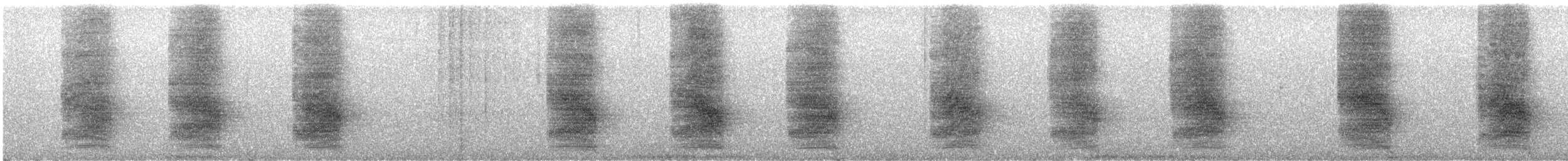 furuskrike (diademata gr.) - ML383795421