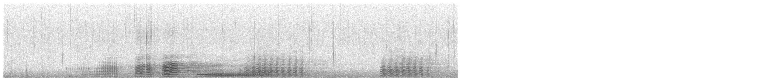 Karabatak (carbo/sinensis) - ML383812311