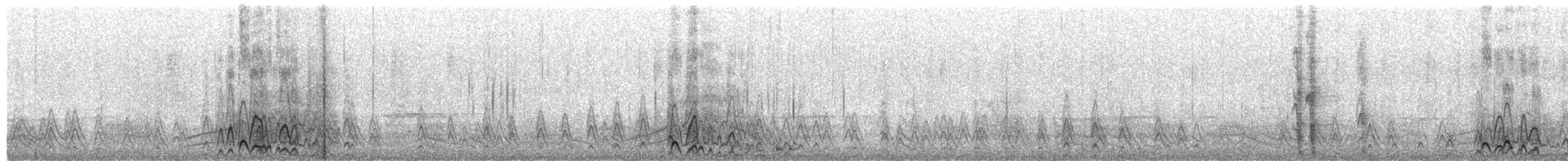 Fuligule morillon - ML383812921