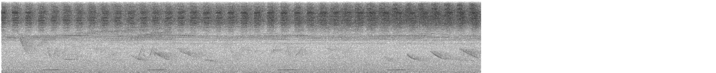 holoubek šedomodrý - ML383815751