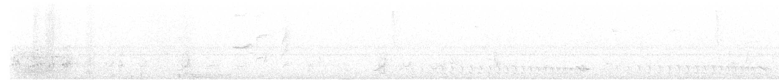 Bakır Belli Kolibri - ML384111391