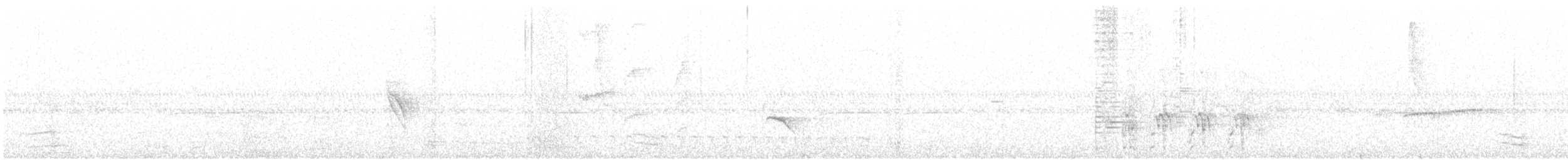 kolibřík měděnořitý - ML384111761