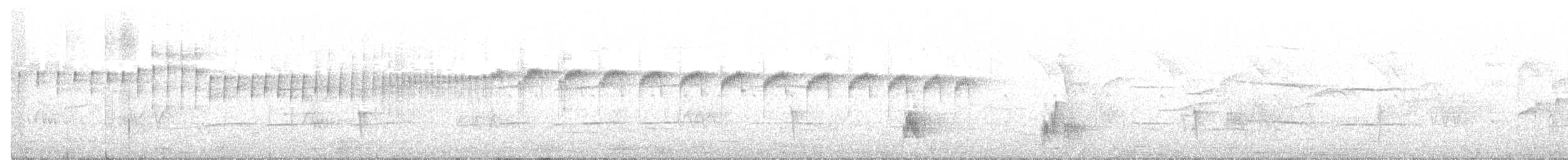 Olivaceous Elaenia - ML384144971