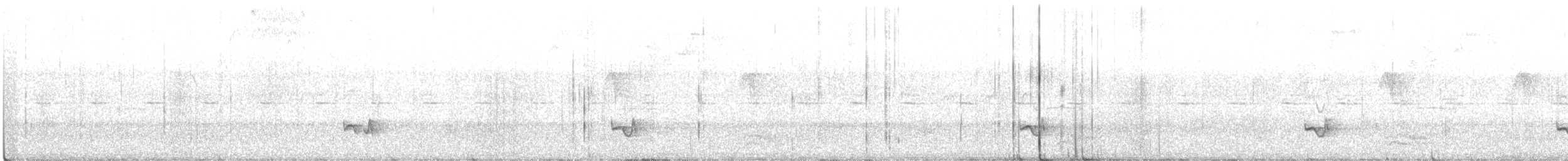 Kuzeyli Ak Şeritli Karıncakuşu - ML384256531