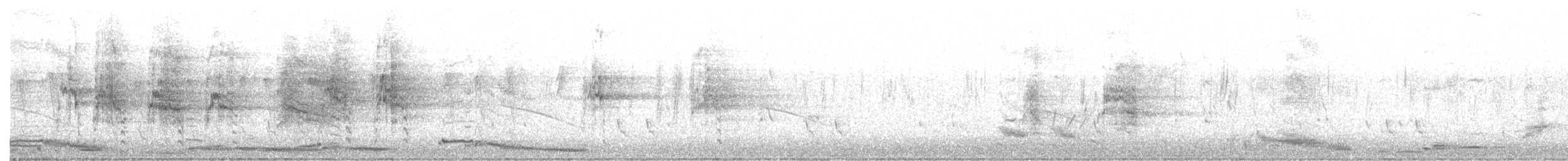 Avustralya Saksağanı (dorsalis) - ML384273431