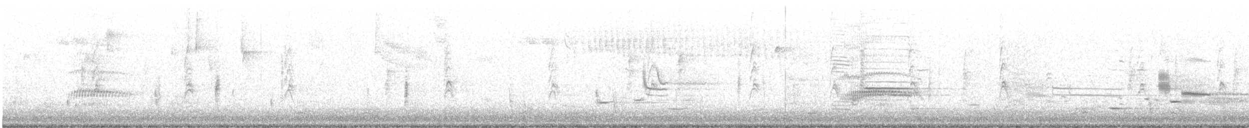 Varied Thrush - ML384297581