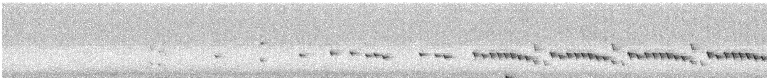 Gérygone des Chatham - ML384306621