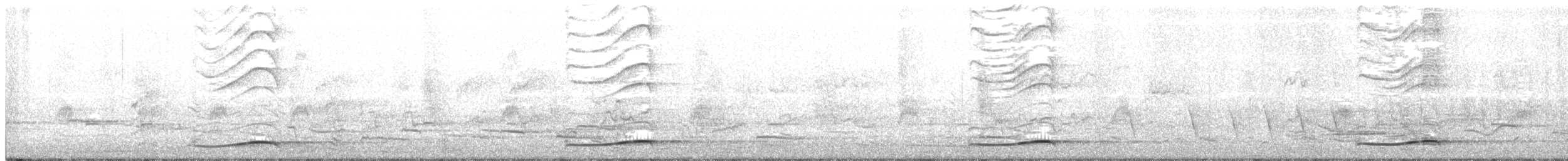 Тихоокеанский коэль - ML384361691