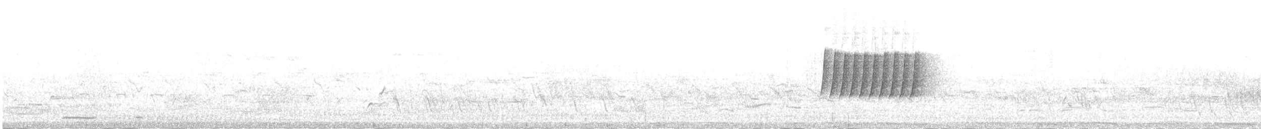 Western Bonelli's Warbler - ML384386241