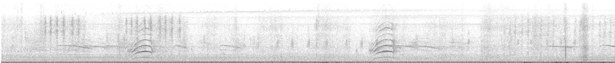 Schwefelmaskentyrann - ML384420831