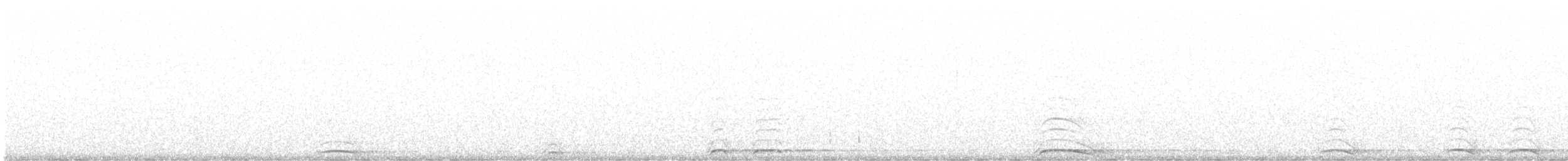 ニシアメリカフクロウ／アメリカフクロウ - ML384559151