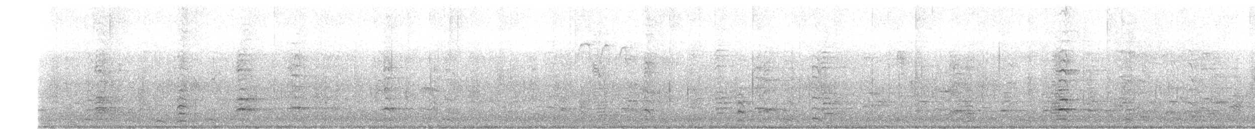 Малая канадская казарка (minima) - ML384564601