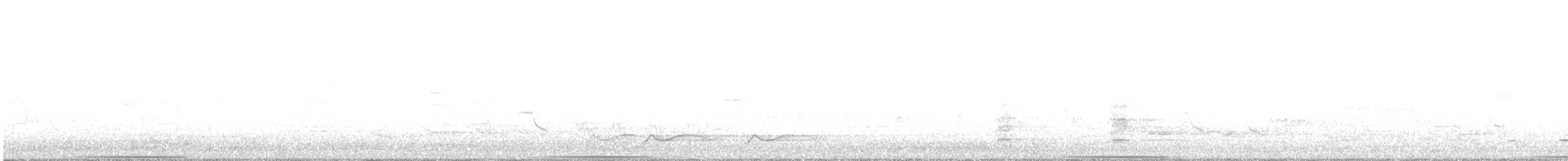 Common Bronzewing - ML384632801
