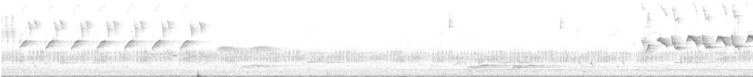 White-browed Scrubwren - ML384633161