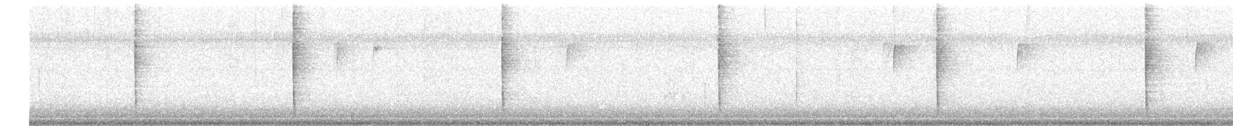 Brown Thrasher - ML38466911