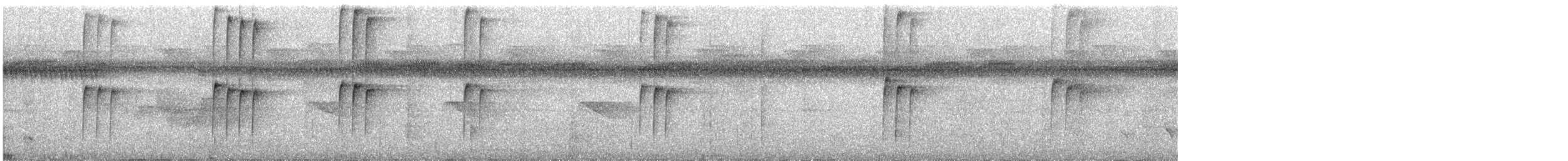Прямоклювый колибри-отшельник - ML384679551