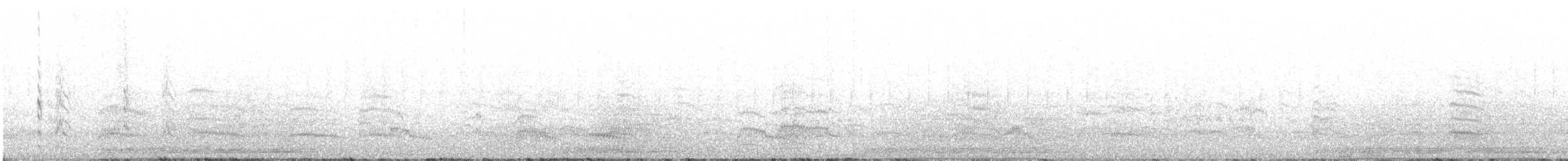 Snowy-crowned Tern - ML384691911