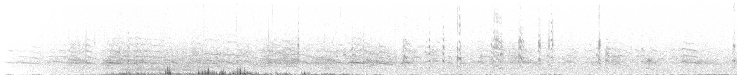 Weißscheitel-Seeschwalbe - ML384692641