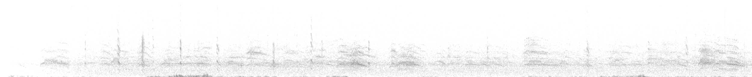 Weißscheitel-Seeschwalbe - ML384692911