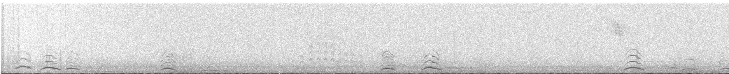 コハクチョウ - ML384699781