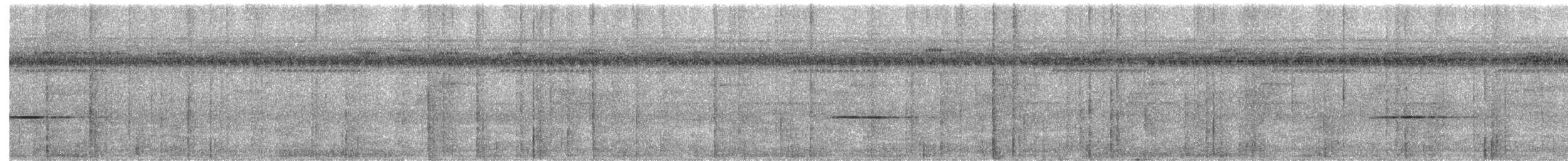 Troglodyte siffleur - ML384859041