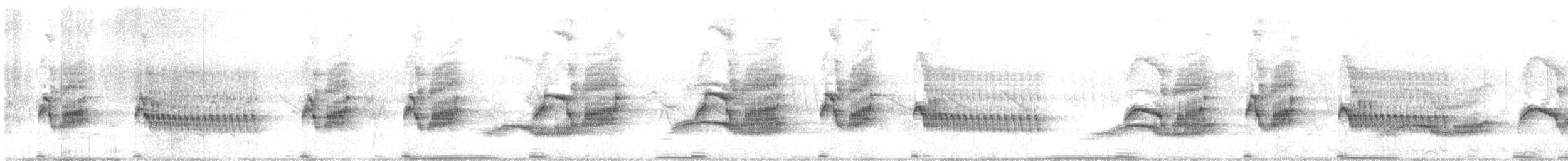 Plumbeous Rail - ML384866381