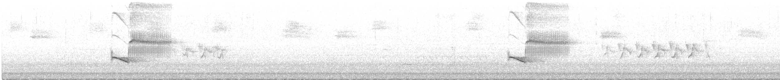 Тауї плямистий - ML384885021