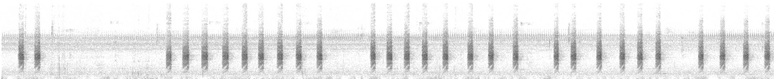 Troglodyte familier (groupe aedon) - ML384894261