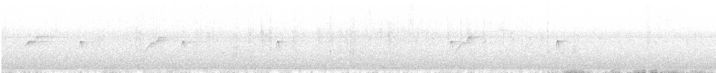 Batı Amerika Sinekkapanı (occidentalis/hellmayri) - ML384894661