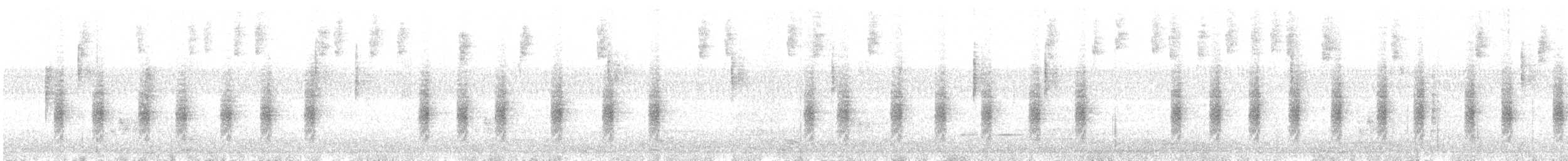 Troglodyte familier (groupe aedon) - ML384894891