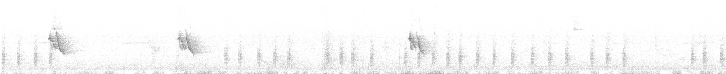Белокрылая канделита - ML384896691