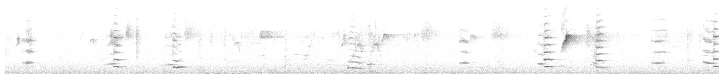 Flötenkrähenstar (dorsalis) - ML384901691