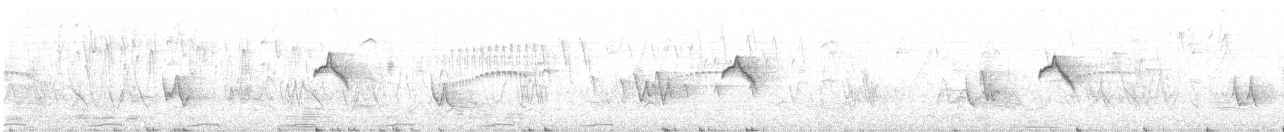 Тиранчик-короткодзьоб південний - ML384932431