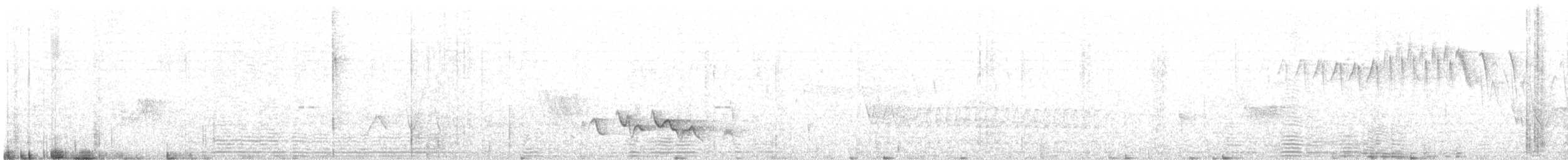 Brown-crested Flycatcher - ML384966191