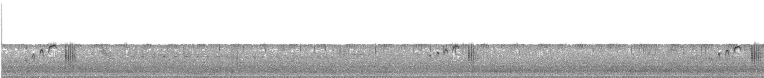 Bearded Tachuri - ML385028641