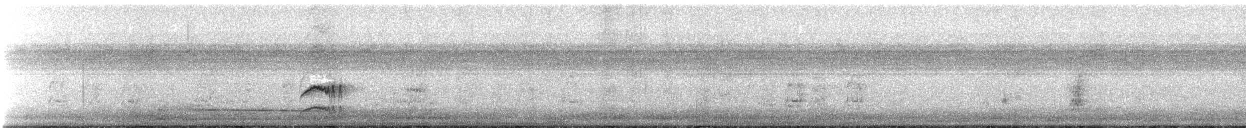 Kaya Sinekkapanı (bellicosa/pallidior) - ML385057201