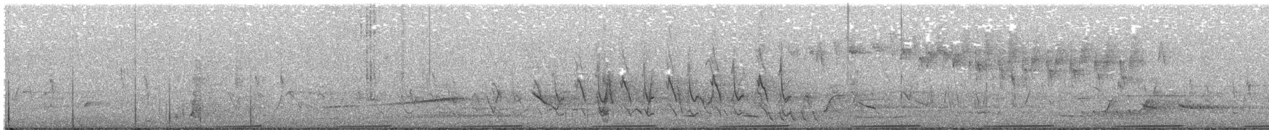 Turnix moucheté - ML385066431