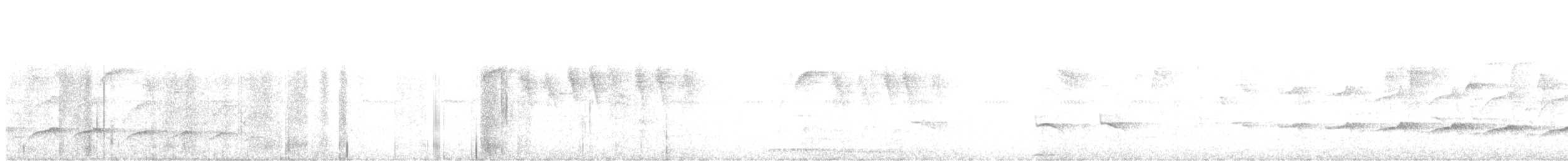 Буроклювый дугоклюв - ML385130061