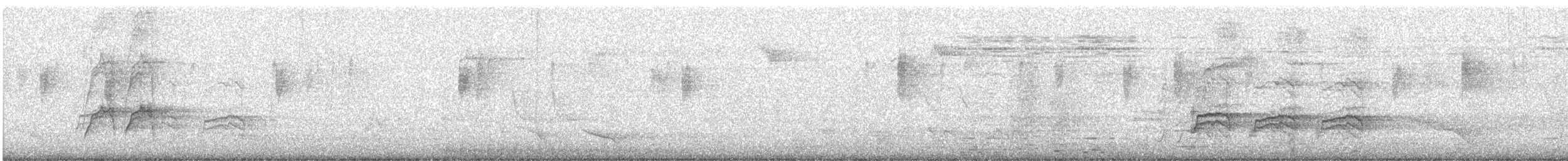 Полосатый воронец - ML385130121