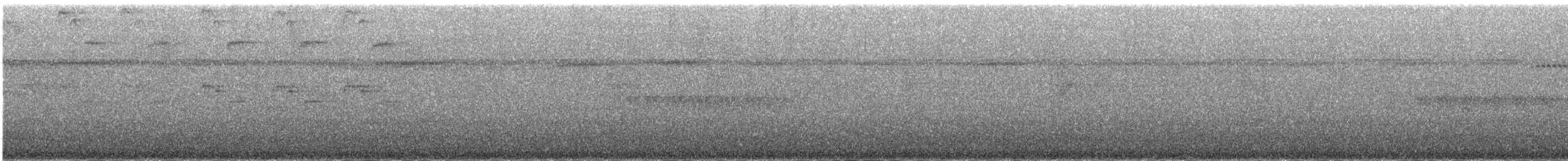 Прямоклювый колибри-отшельник - ML385159761