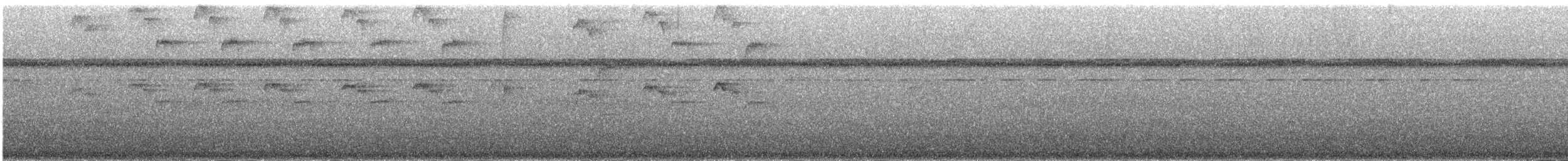 Прямоклювый колибри-отшельник - ML385159771