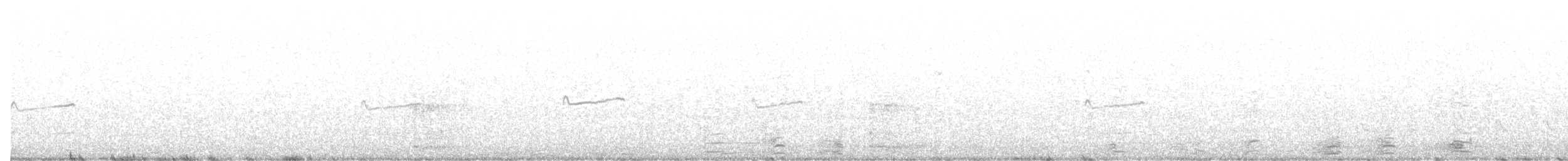 Ring-necked Pheasant - ML385169341