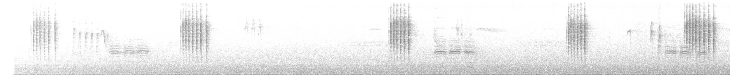 Troglodyte de Baird - ML385185631